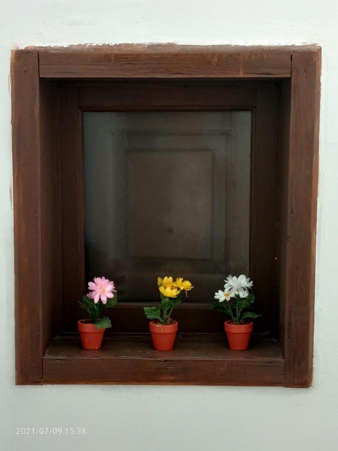 Apartamento Florhouse Pacini CTA Exterior foto