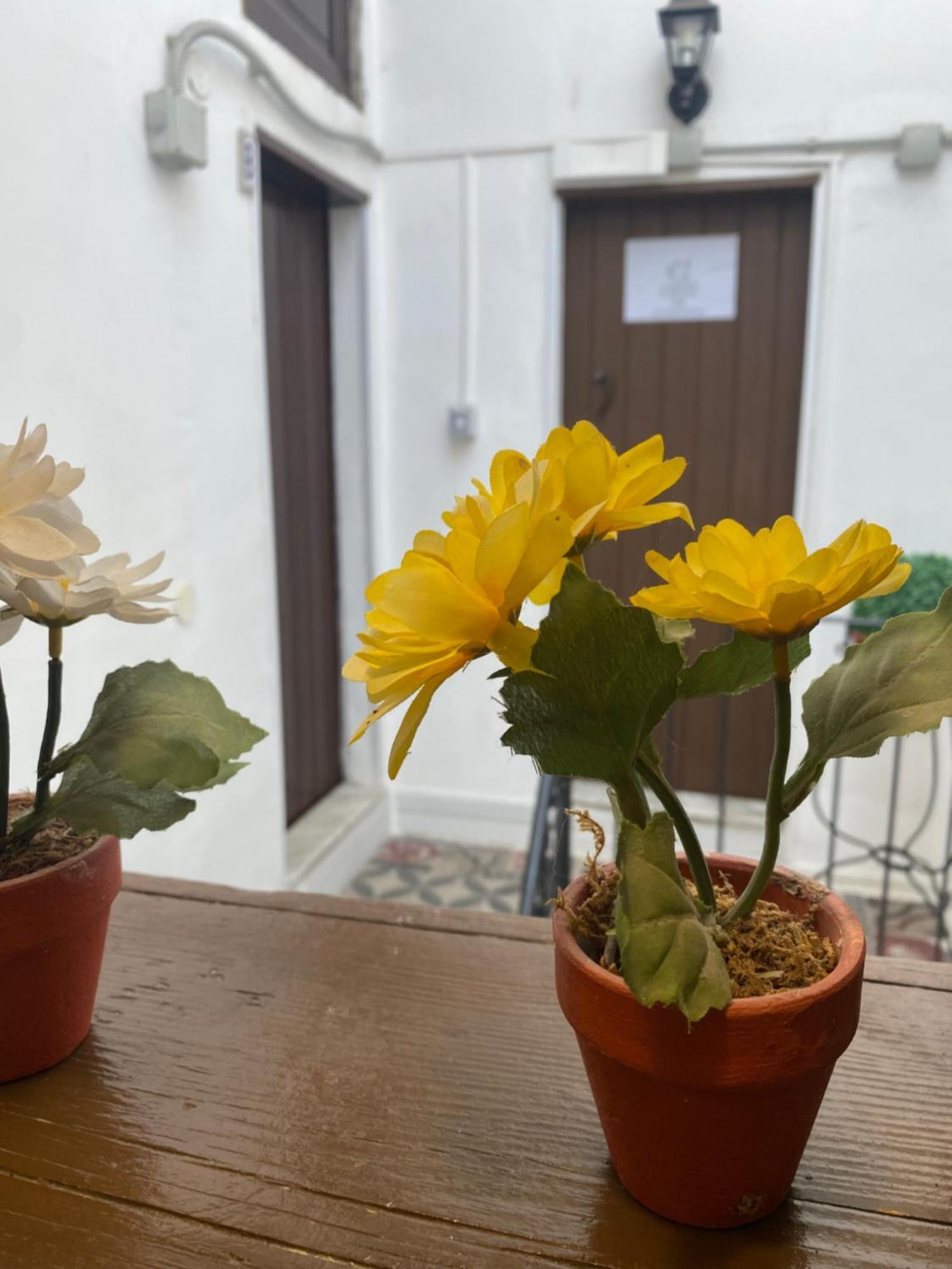 Apartamento Florhouse Pacini CTA Exterior foto
